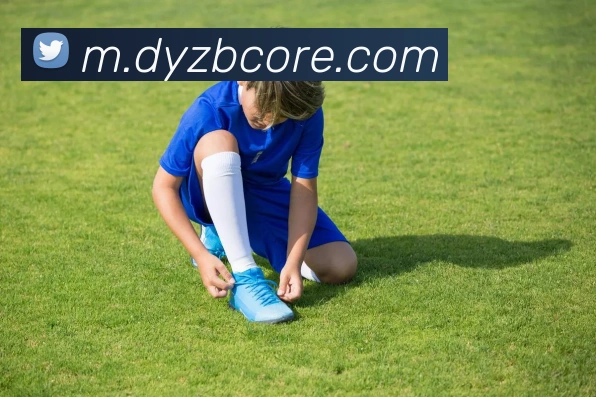 斗鱼直播平台生态图